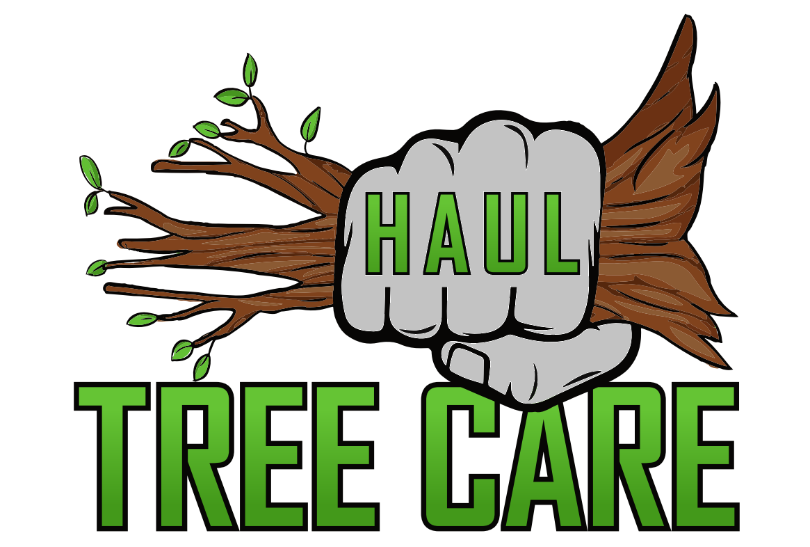HAUL Tree Care Logo